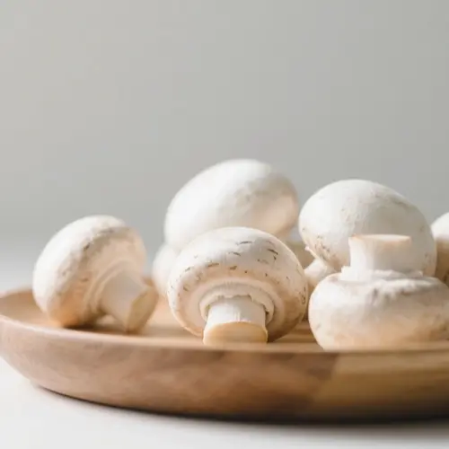 白蘑菇
